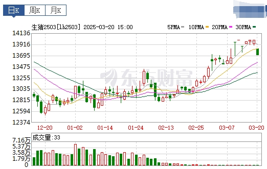 今日猪价 | 2025.03.21猪价行情——连续6天上涨