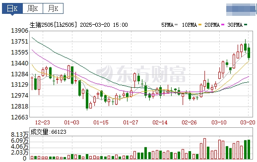 今日猪价 | 2025.03.21猪价行情——连续6天上涨