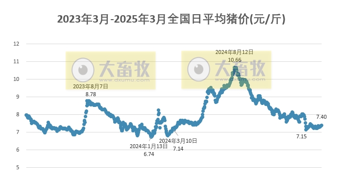 今日猪价 | 2025.03.21猪价行情——连续6天上涨
