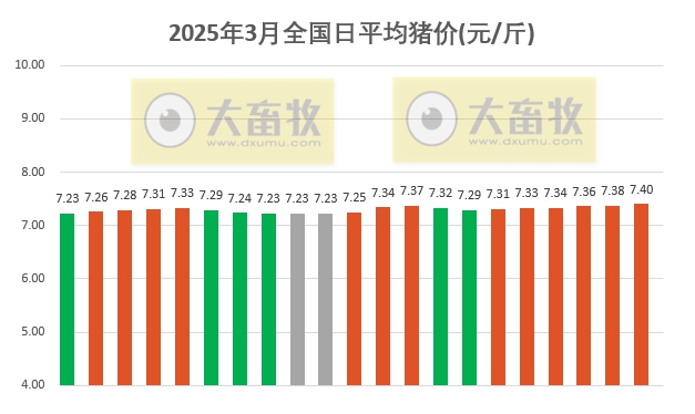 今日猪价 | 2025.03.21猪价行情——连续6天上涨