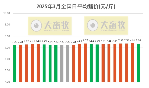 今日猪价 | 2025.03.22猪价行情——止涨下跌