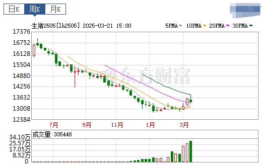 今日猪价 | 2025.03.23猪价行情