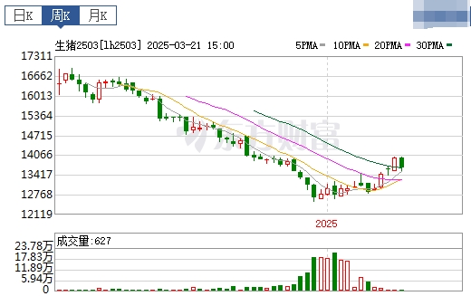 今日猪价 | 2025.03.23猪价行情