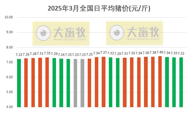 今日猪价 | 2025.03.24猪价行情