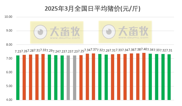 今日猪价 | 2025.03.25猪价行情