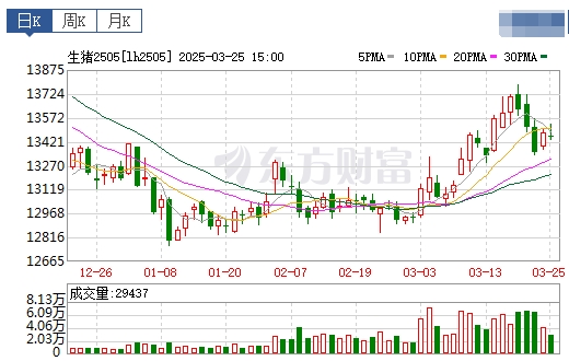 今日猪价 | 2025.03.26猪价行情
