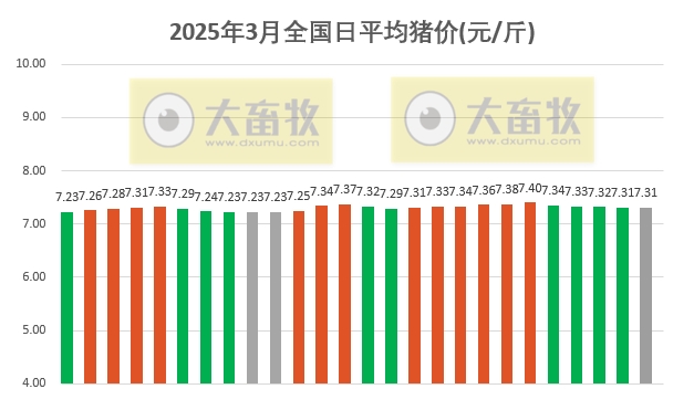 今日猪价 | 2025.03.26猪价行情