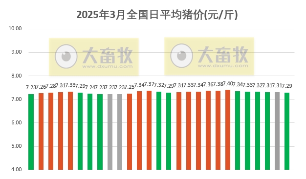 今日猪价 | 2025.03.27猪价行情