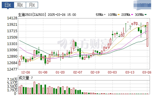 今日猪价 | 2025.03.27猪价行情