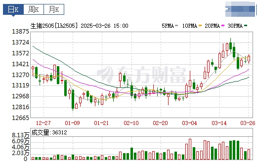 今日猪价 | 2025.03.27猪价行情