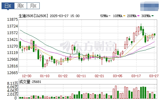 今日猪价 | 2025.03.28猪价行情
