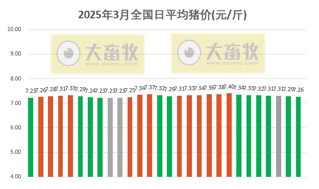 今日猪价 | 2025.03.28猪价行情
