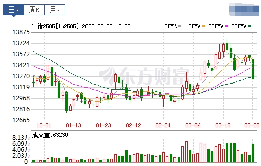 今日猪价 | 2025.03.29猪价行情