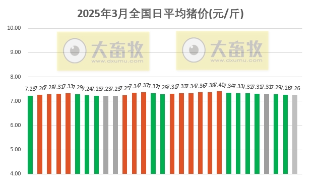 今日猪价 | 2025.03.29猪价行情