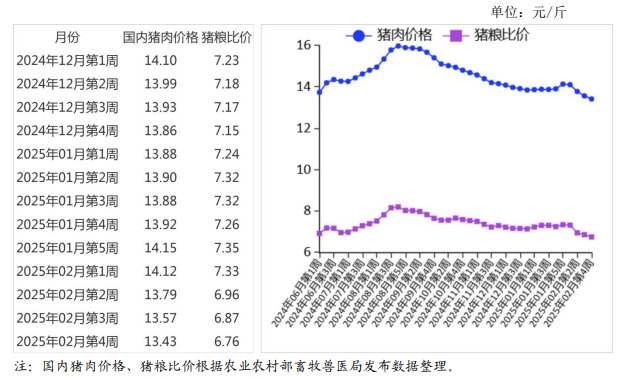 2025年2月国内和国际猪肉市场行情分析——猪肉价格小幅下跌