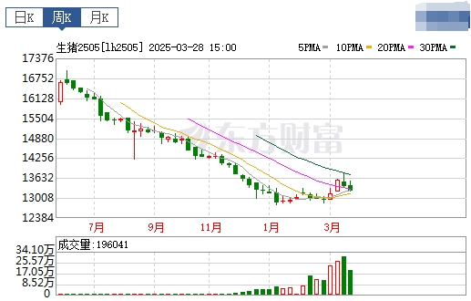 今日猪价 | 2025.03.30猪价行情