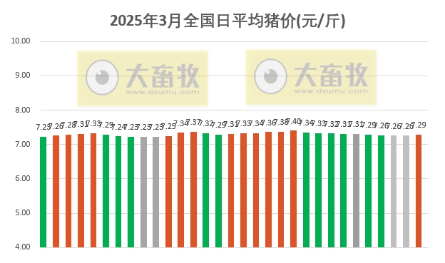 2025年3月全国平均猪价继续下跌，且跌至近14个月最低