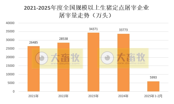 2025年2月全国规模以上生猪定点屠宰企业的屠宰量情况