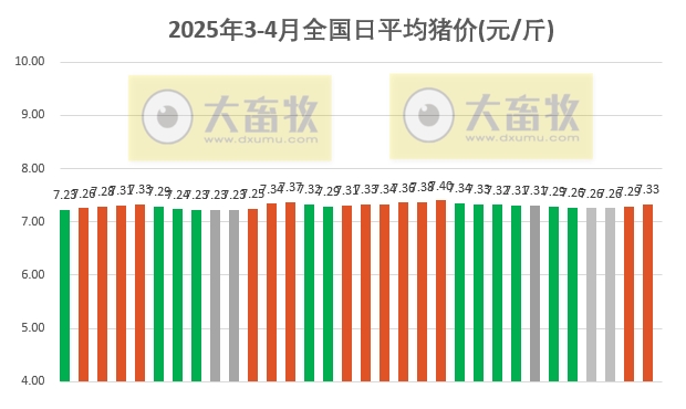 今日猪价 | 2025.04.01猪价行情——4月开门红