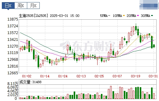 今日猪价 | 2025.04.01猪价行情——4月开门红