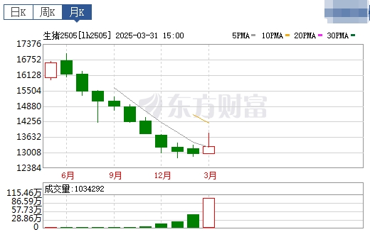 今日猪价 | 2025.04.01猪价行情——4月开门红