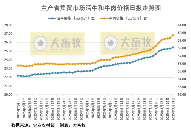 2025年3月31日活牛和牛肉价格