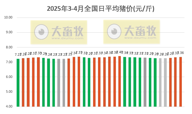 今日猪价 | 2025.04.02猪价行情