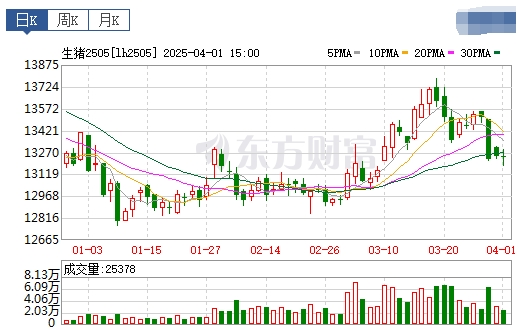 今日猪价 | 2025.04.02猪价行情