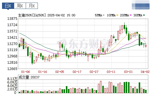 今日猪价 | 2025.04.03猪价行情——止涨转跌