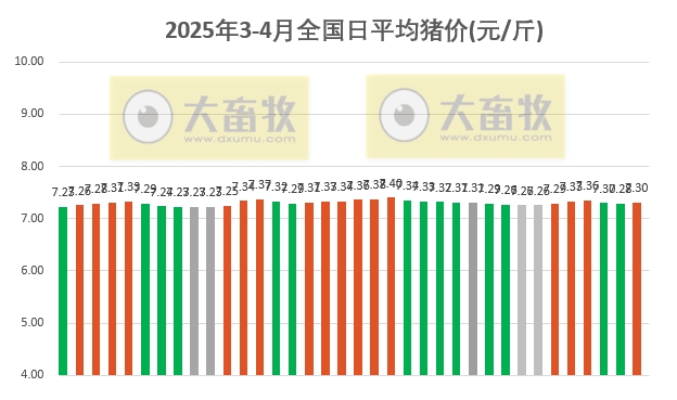 今日猪价 | 2025.04.05猪价行情