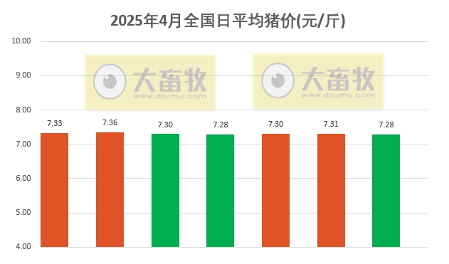 今日猪价 | 2025.04.07猪价行情