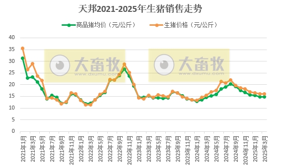 天邦食品2025年3月及1季度生猪销售情况