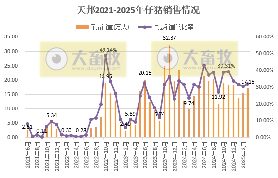 天邦食品2025年3月及1季度生猪销售情况