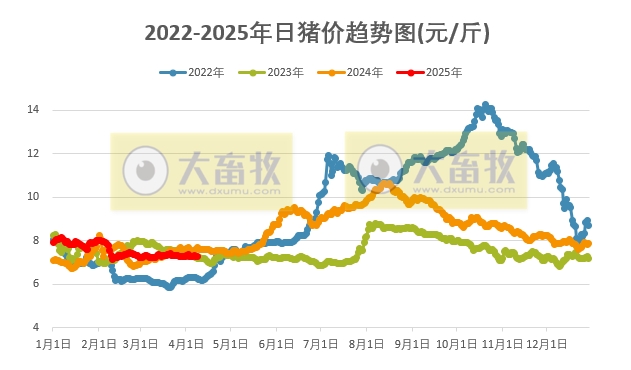 今日猪价 | 2025.04.08 猪价行情