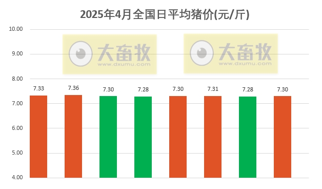 今日猪价 | 2025.04.08 猪价行情