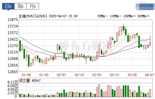 今日猪价 | 2025.04.08 猪价行情