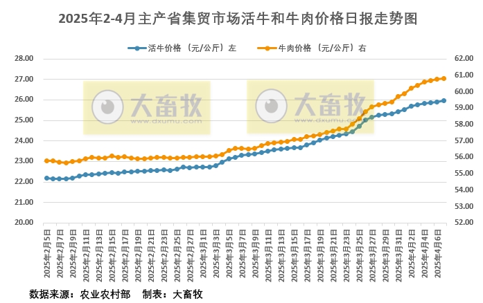 2025年4月7日活牛和牛肉价格