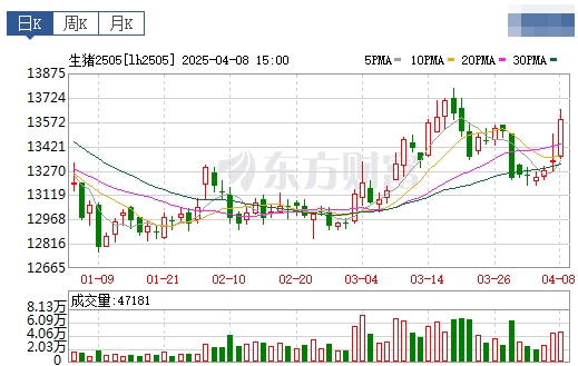 今日猪价 | 2025.04.09 猪价行情