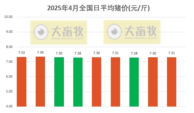 今日猪价 | 2025.04.09 猪价行情