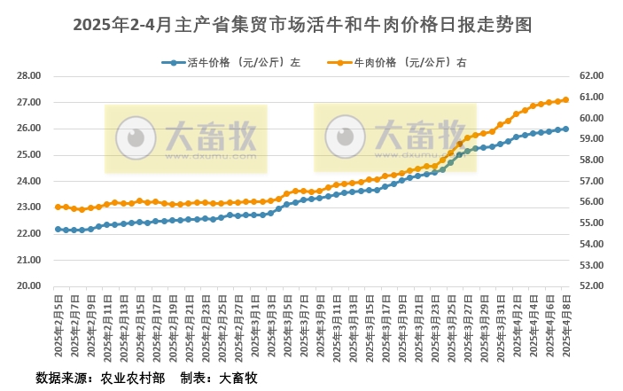 2025年4月8日活牛和牛肉价格