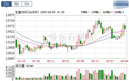 今日猪价 | 2025.04.10 猪价行情