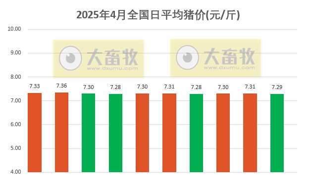 今日猪价 | 2025.04.10 猪价行情