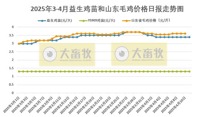 2025年4月11日益生鸡苗行情资讯