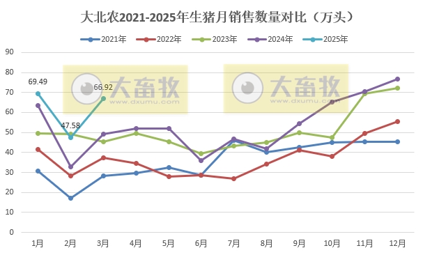 大北农2025年3月及1季度生猪销售情况