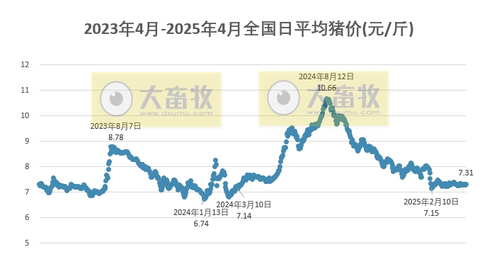 今日猪价 | 2025.04.11 猪价行情