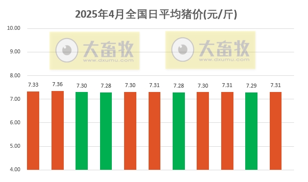 今日猪价 | 2025.04.11 猪价行情