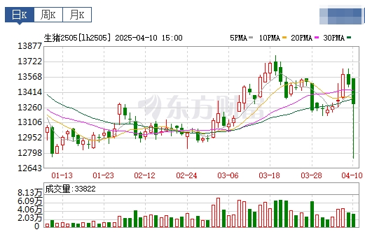 今日猪价 | 2025.04.11 猪价行情