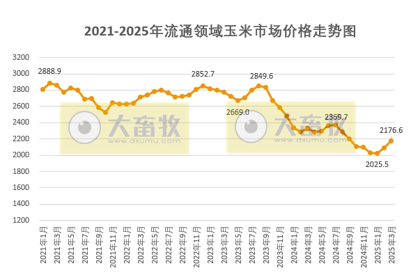 2025年4月中国玉米供需形势分析——下调玉米进口量