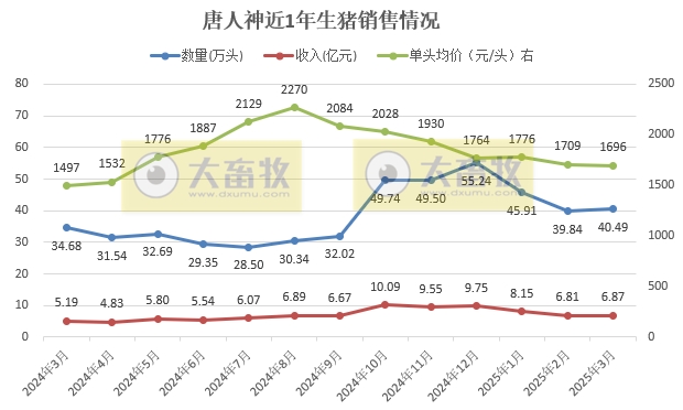唐人神2025年3月及1季度生猪销售情况