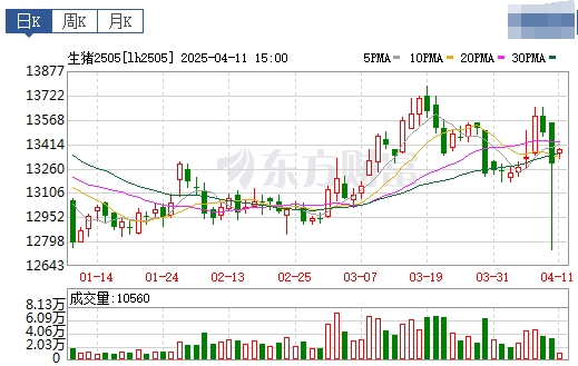 今日猪价 | 2025.04.12 猪价行情